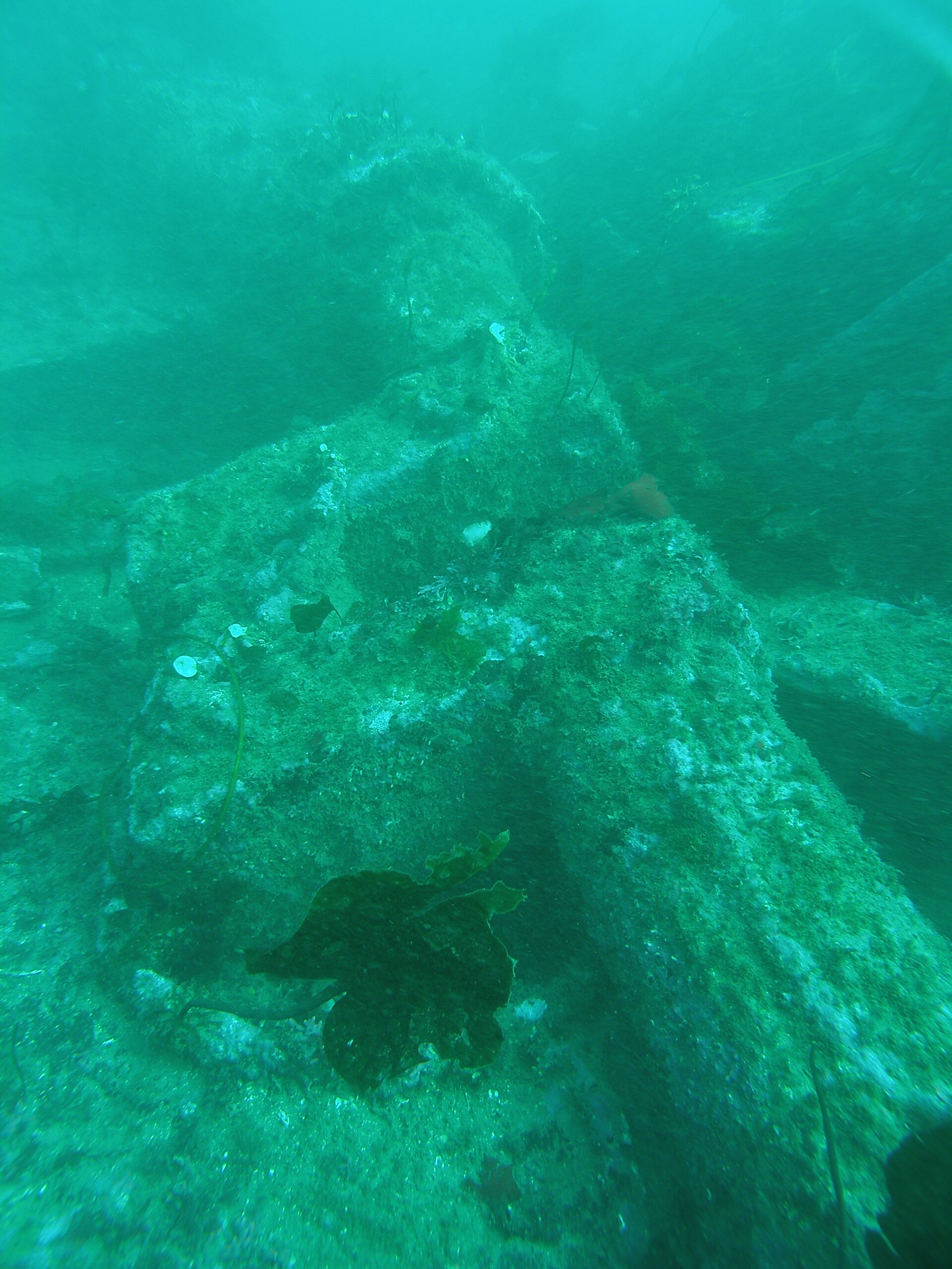 The encrusted crank shaft of the Barnard Castly lying in 12 meters of water.