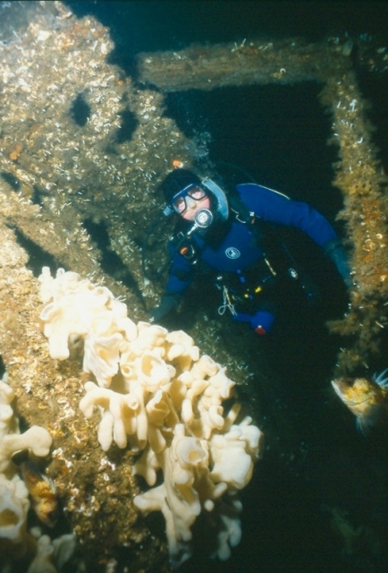 A diver poses on the wreck of the Gulf Stream