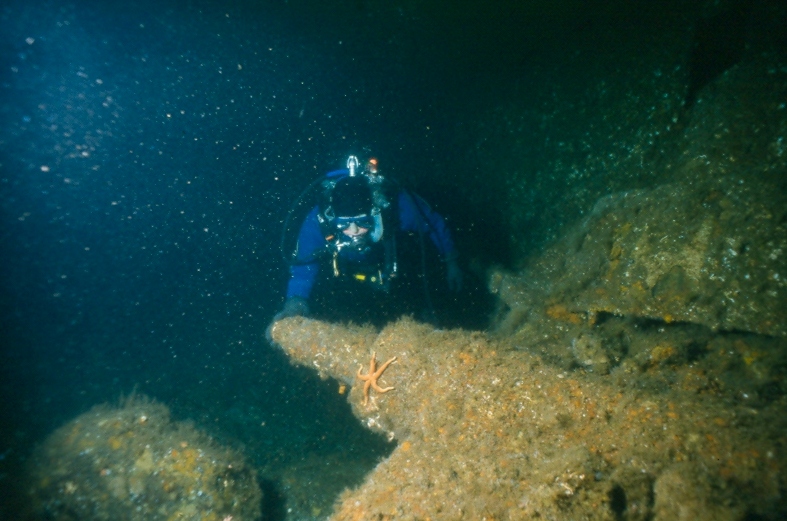 A UASBC diver examines the propshaft of the Gulf Stream.
