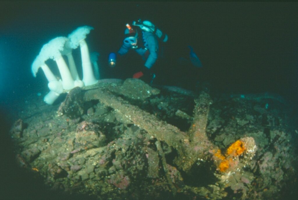 A diver examines the anchor from the Orpheus