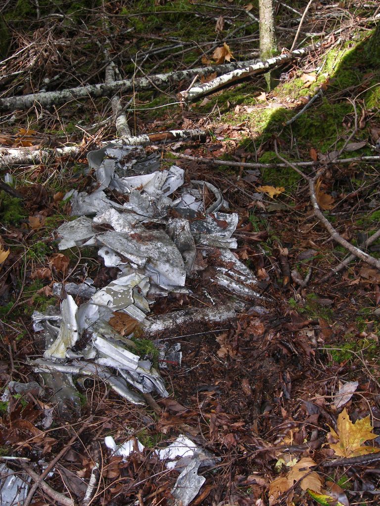 remains of the EW127 found in trees near where the bomber hit the water.